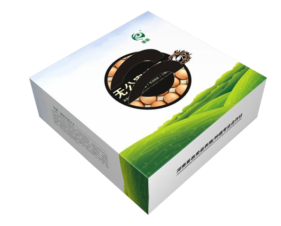 阿拉善左旗包装箱厂家